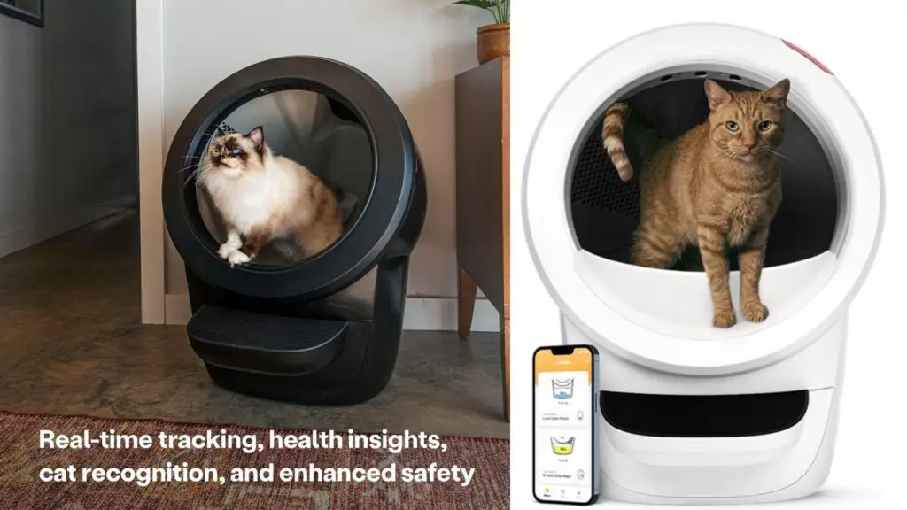 Litter-Robot 4 Review