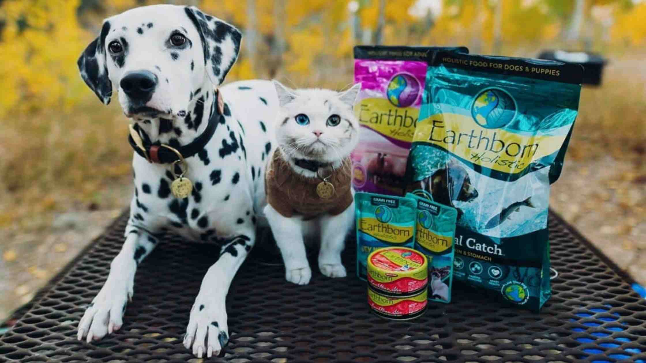 Is there a recall on Earthborn Holistic Dog Food in 2022