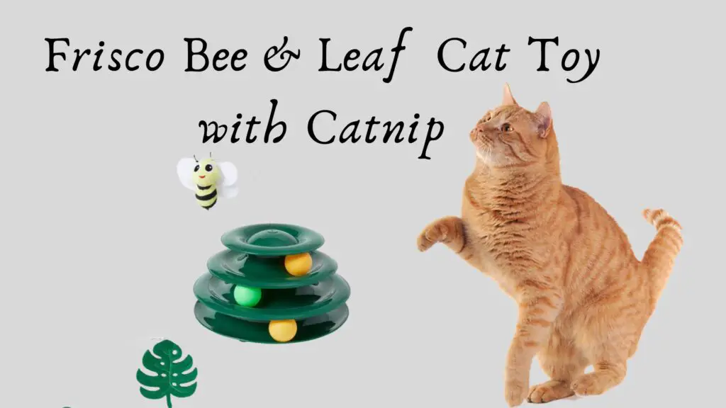 Frisco Bee & Leaf Cat Toy with Catnip