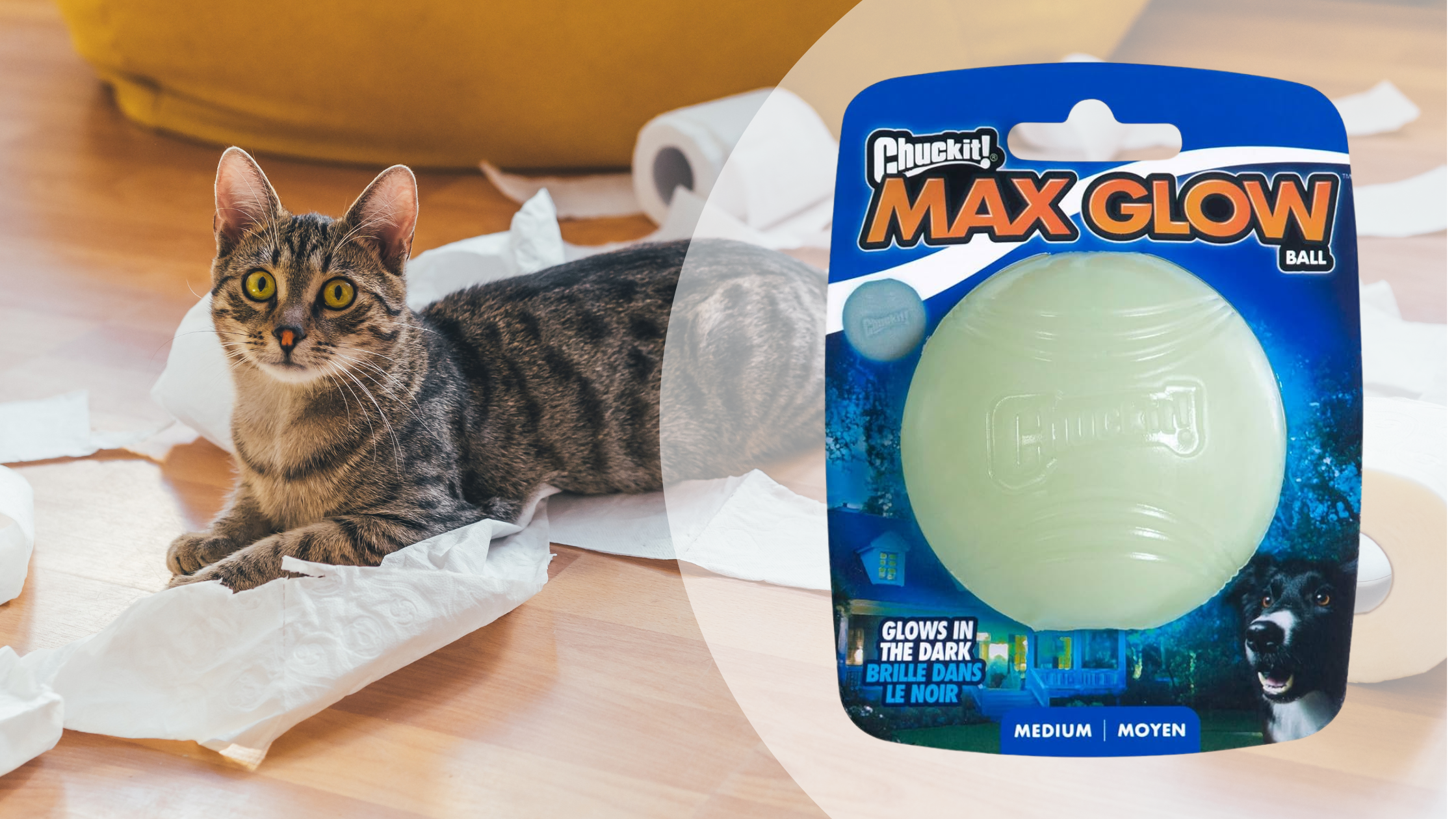 Chuckit-Max-Glow-Ball review